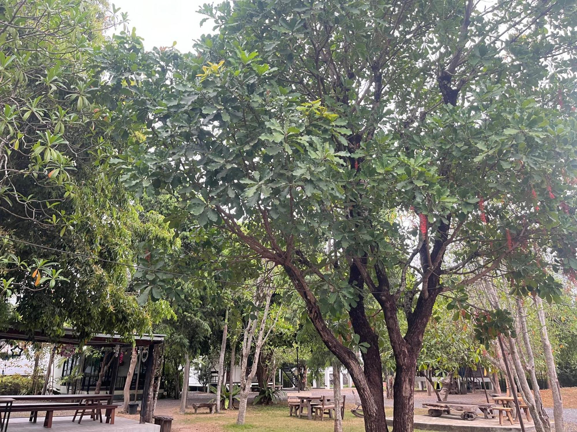 Sangkaset Resort Ban Mong Muang Ngoại thất bức ảnh